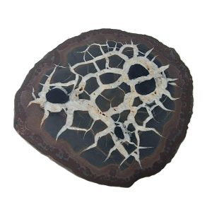 Nodule de Septaria