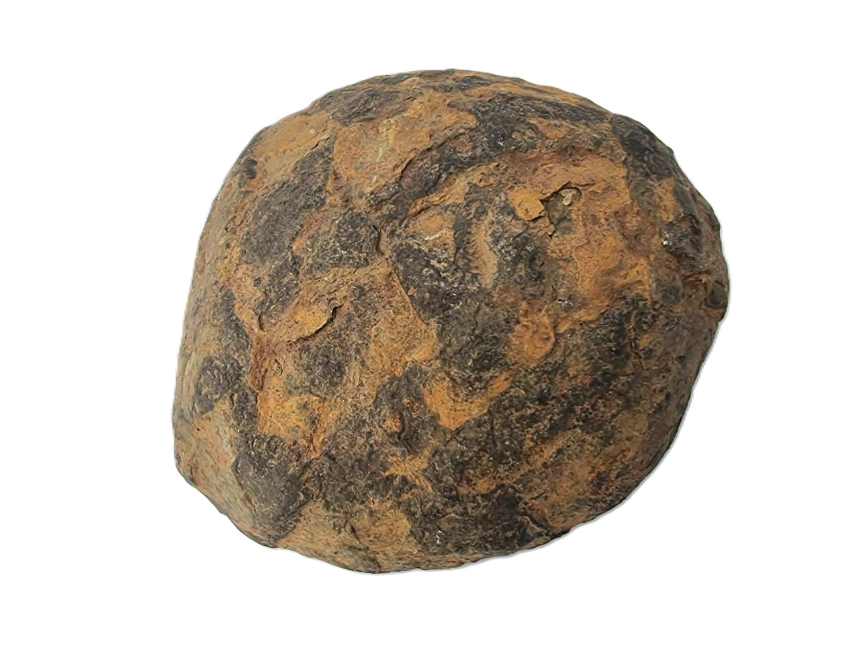 Nodule de Septaria – Image 3