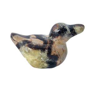 Canard en Septaria